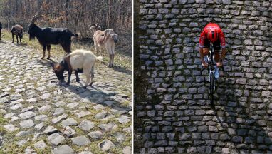 Trasa Paryż-Roubaix będzie czysta jak nigdy. Zadba o to specjalna ekipa