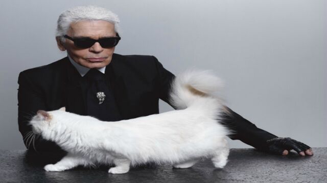 Kot Lagerfelda wypuszcza własną linię mody i kosmetyków. Będzie też ...