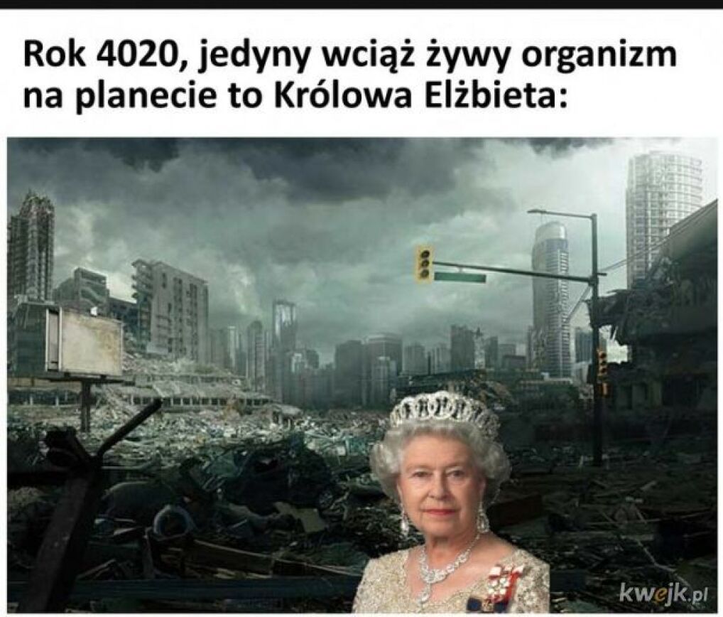 Memy Jak Internet Zartuje Z Koronawirusa Aleksander Przybylski Magazyn Tvn24