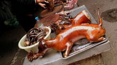 Psie mięso gotowe do sprzedaży. Targ w Hanoi