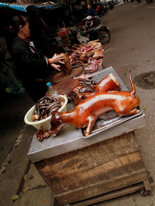 Psie mięso gotowe do sprzedaży. Targ w Hanoi