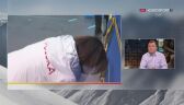 Pekin 2022 - łyżwiarstwo figurowe. Eksperci Eurosportu o sprawie Kamiły Walijewej