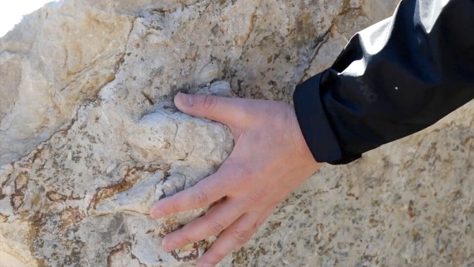 Naukowcy odkryli pod Radomiem doskonale zachowane ślady dinozaurów