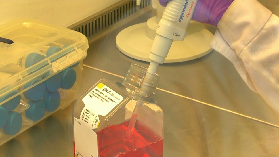 Lekarze z Olsztyna chcą leczyć komórkami macierzystymi. Nabór pacjentów latem