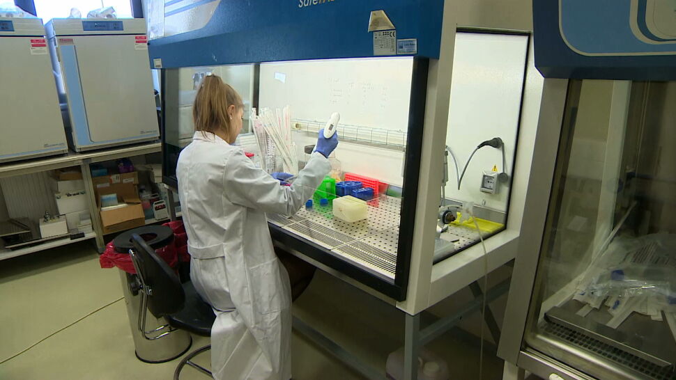Naukowcy pracują nad testem immunologicznym